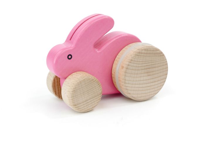 Small Rabbit Push Toy