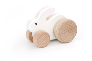 Small Rabbit Push Toy